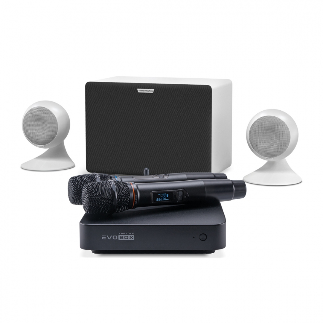 караоке-комплект EVOBOX Classic + EvoSound Sphere 2.1 в Марий Эле