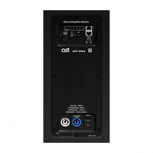 Активная акустическая система AST-310A в Марий Эле