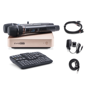 EVOBOX Classic караоке-система для дома в Марий Эле
