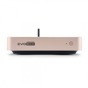EVOBOX Plus караоке-система для дома в Марий Эле
