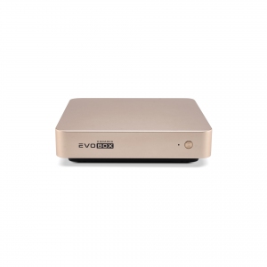 EVOBOX с микрофонами в Марий Эле